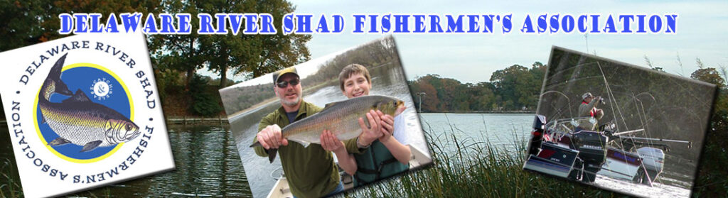 Shad Fishermen's Association logo.